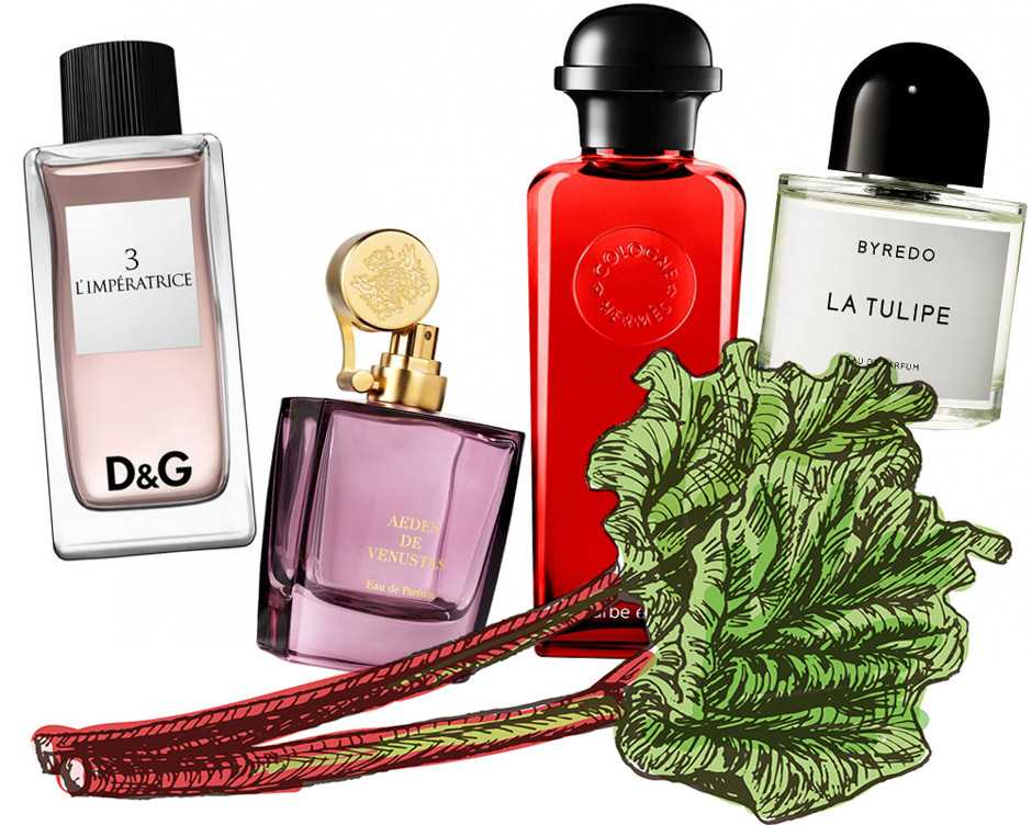 Топ-10 лучших мужских духов: рейтинг популярного парфюма, отзывы, цены