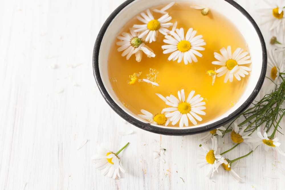 Декокт. Ванна с отваром ромашки. Chamomile Infusion. Отвар ромашки цвет. Отвар из ромашки картинки.